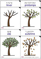 Image de la fiche SDADV